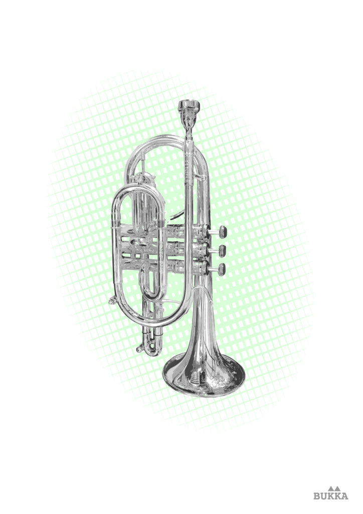 bbcornet-plakat-poster-bukkadesign